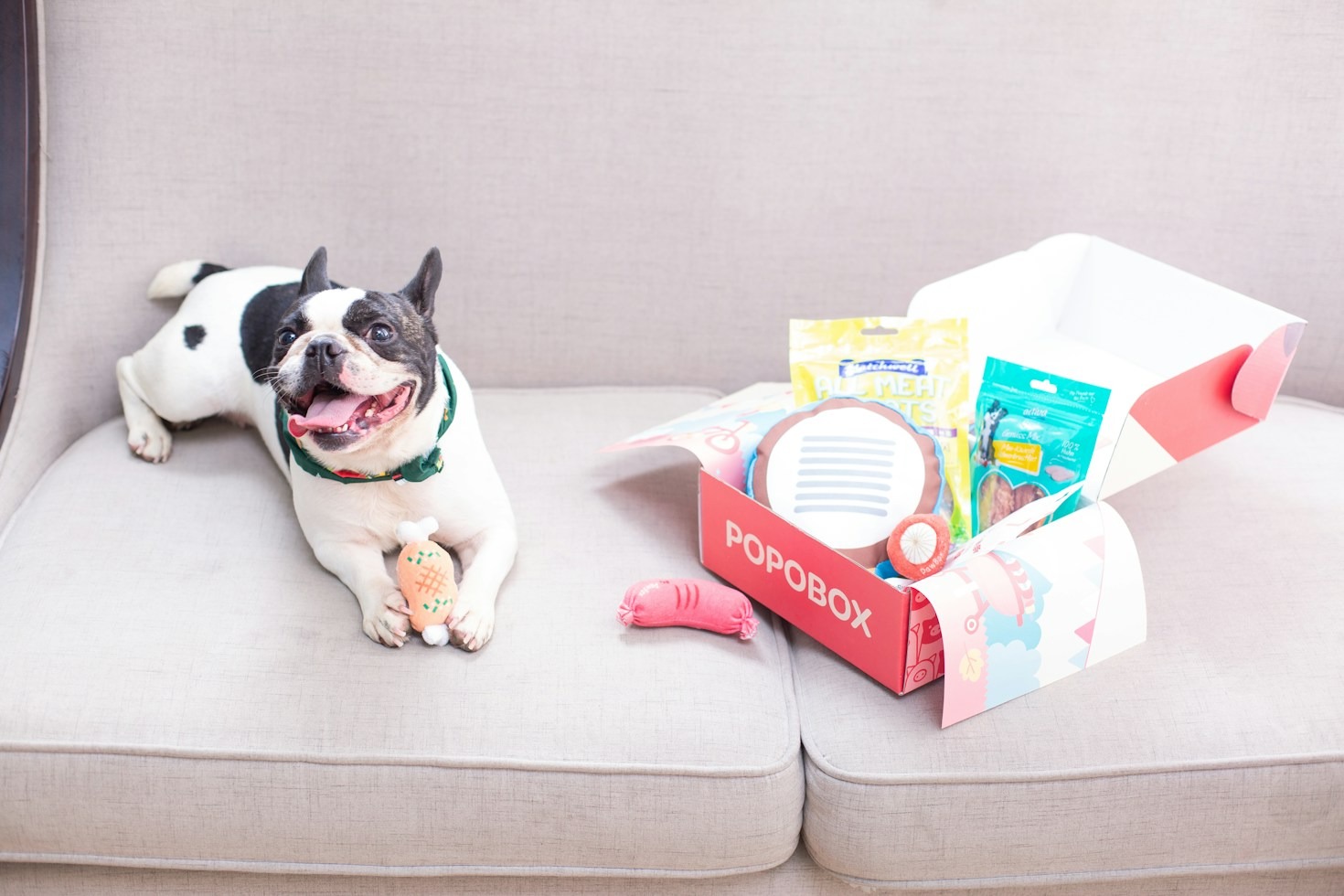 The Ultimate Nutrition and Diet Guide for Frenchies